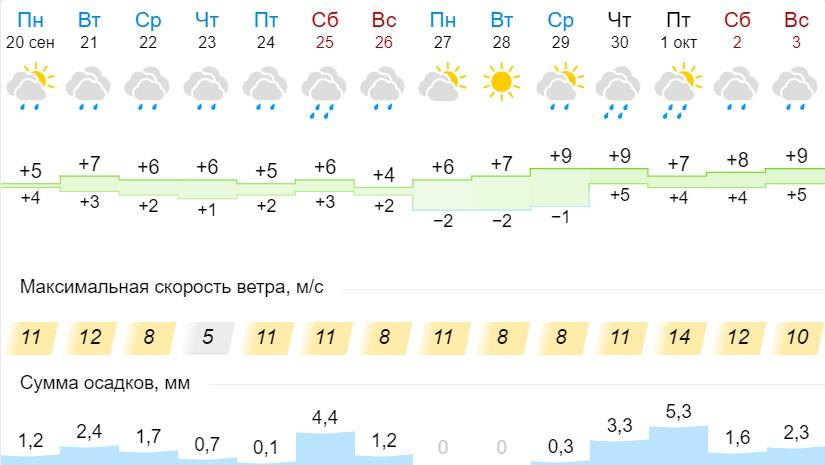 Фото «А за окном то дождь, то снег»: погода до конца сентября 2021– когда в Новосибирск заглянет зима 3